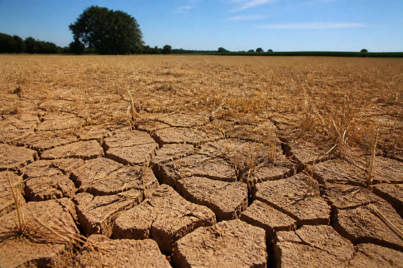 Pourquoi la terre a soif dans le secteur de Thiviers ?